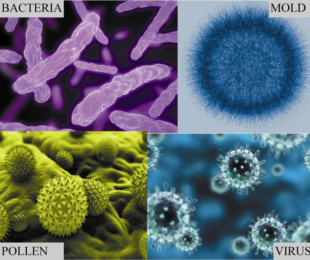 Bioaerosol Organic Dust from Mold Bacteria Pollen in Indoor Air Quality