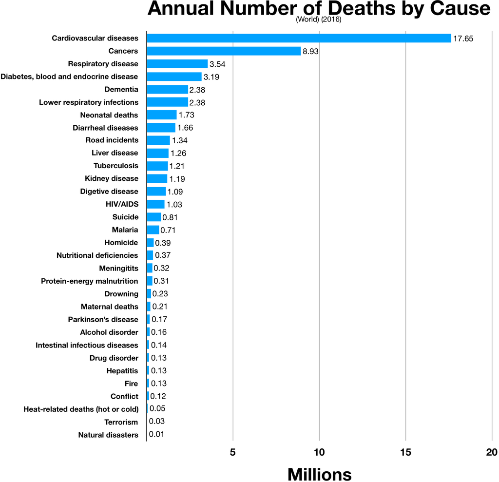 Top Worldwide Causes of Death Ranked