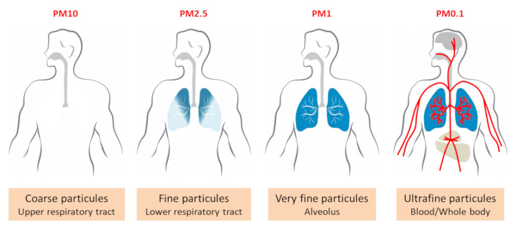 Air Pollution Particulate Matter Lung Penetration Particle Size PM10 PM2.5 Indoor Air Quality Testing Dallas Fort Worth Austin Houston Texas