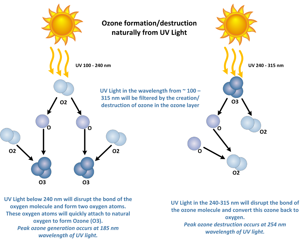 Natural Ozone Production from UV Light